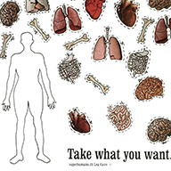 Lea Favre "Take What You Want" (Johann Roduit, Superhumains.ch project)