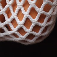 Dan Nuttall, "Mesh and Ova"