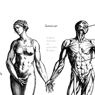 percuss-lumen 10-surface anatomy-v2.3